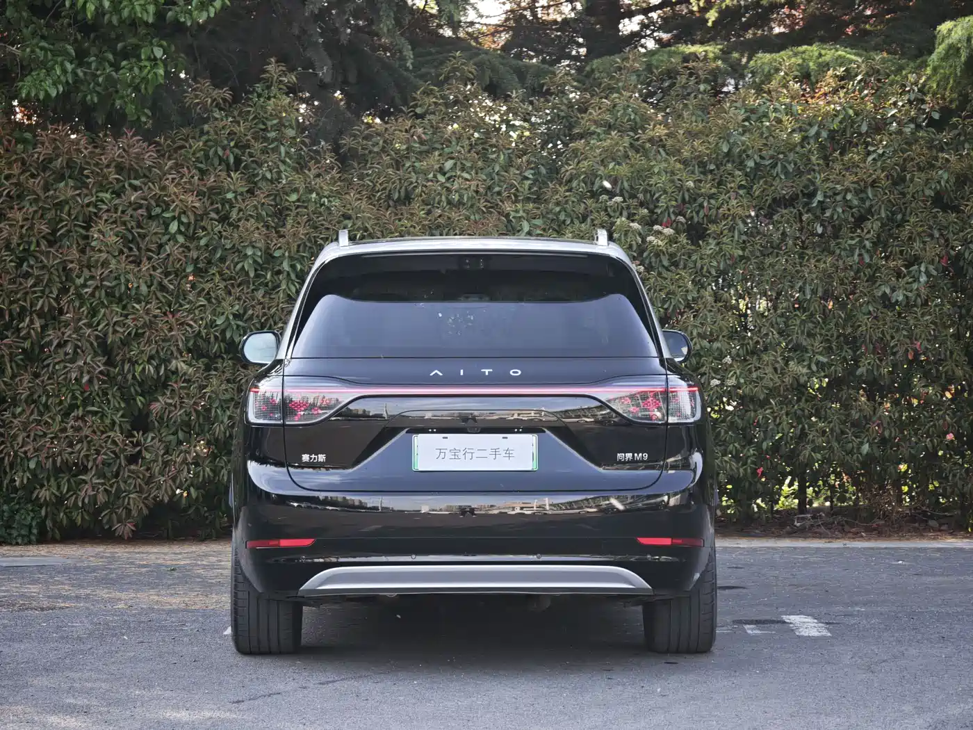 AITO Wenjie AITO M9 2025 Extended Range Ultra 52kWh 6-Seater фото 5