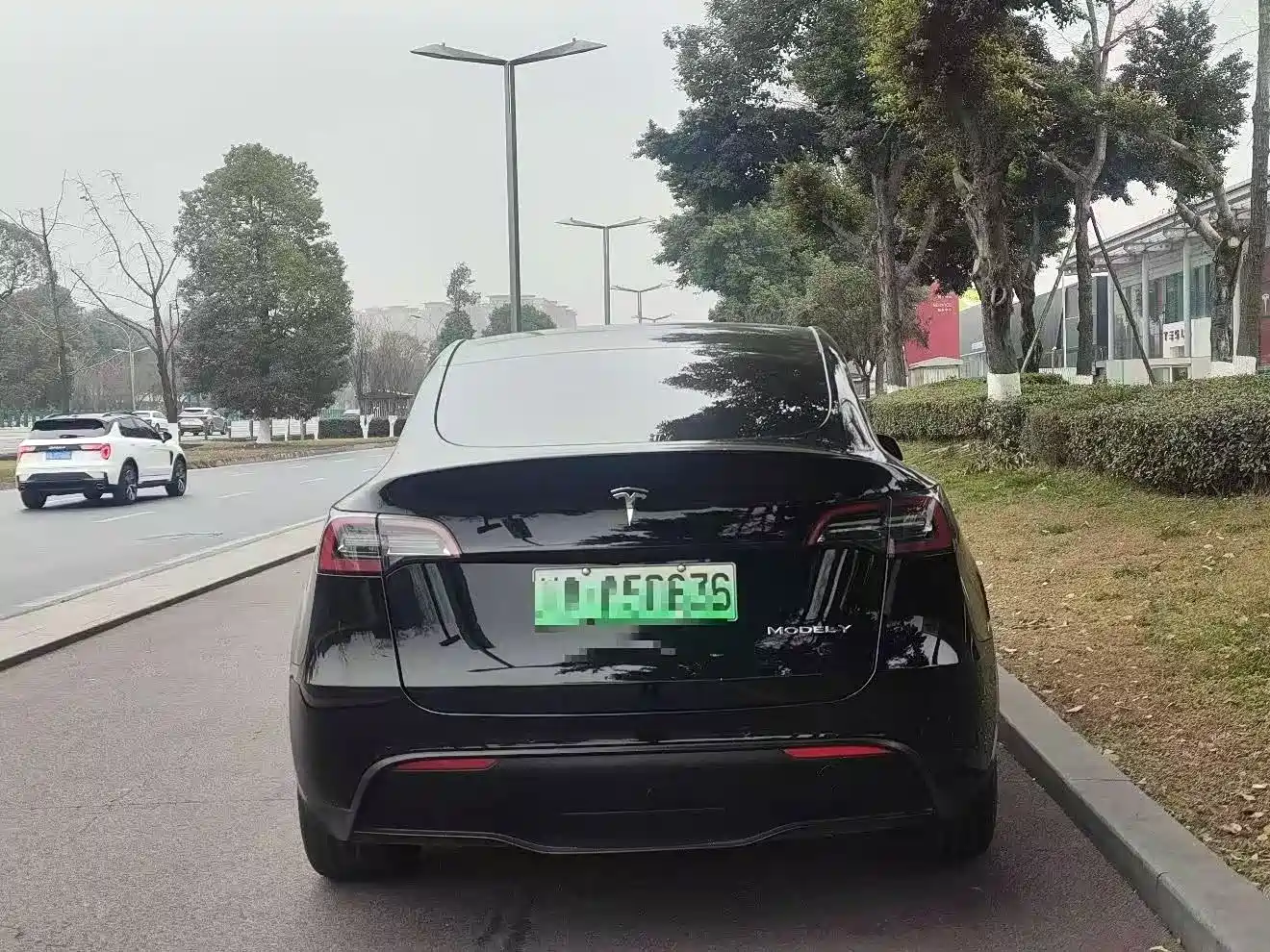 TESLA MODEL Y