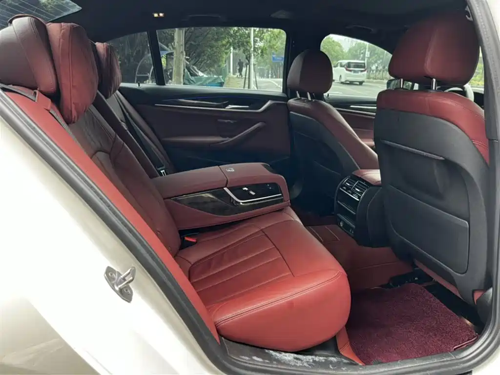 BMW 5 Series 2020 530Li Leading M Sport Package фото 6