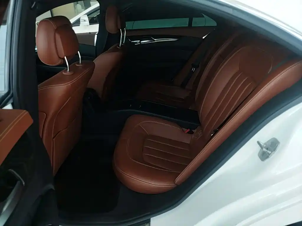 Mercedes-Benz CLS 2017 CLS 320 Elegance Edition фото 17