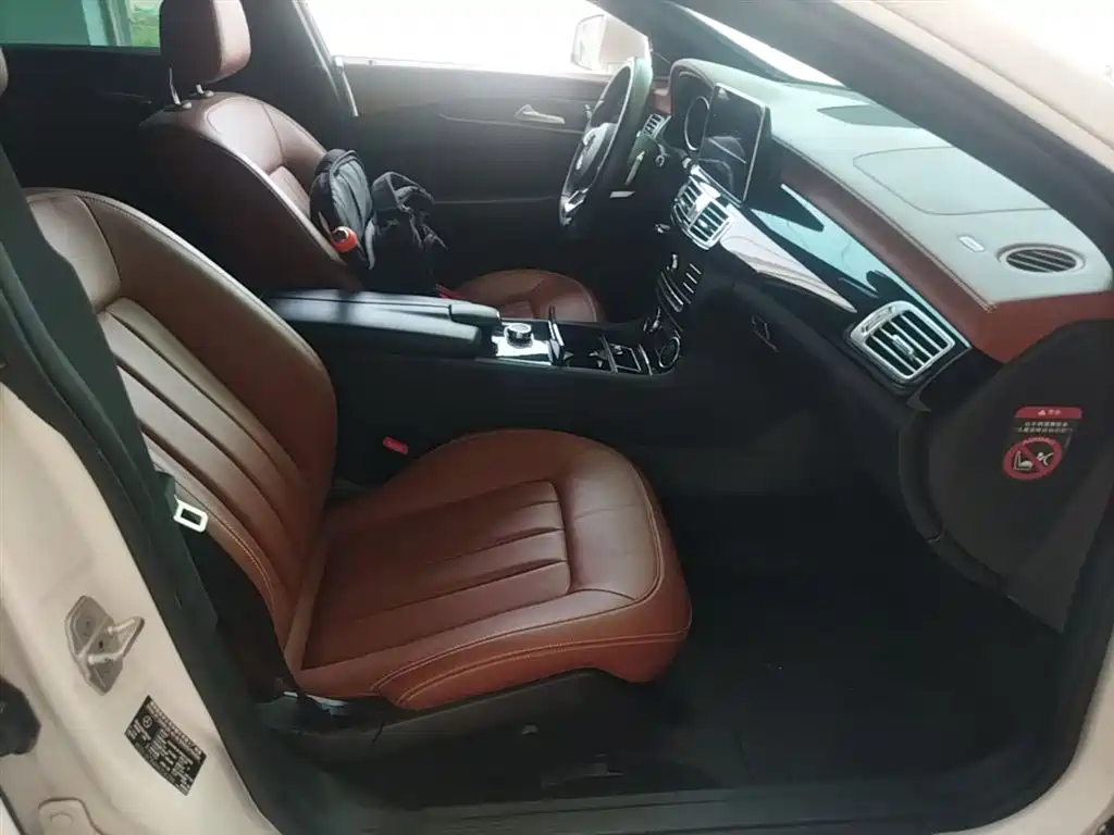 Mercedes-Benz CLS 2017 CLS 320 Elegance Edition фото 25