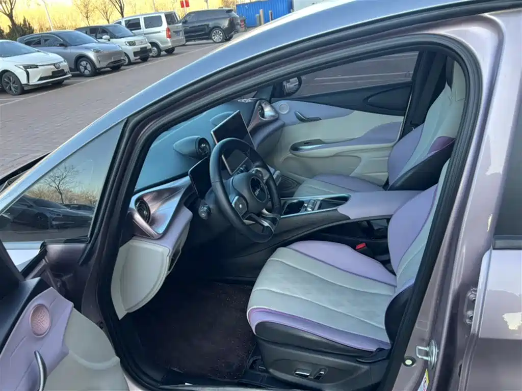 BYD Dolphin 2023 401km Knight Edition фото 14