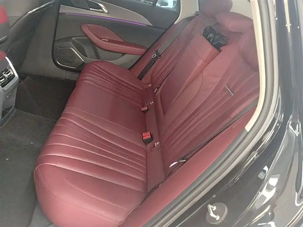 Hongqi H5 2024 2.0T Automatic Smart Connect Flag Smooth Edition фото 17
