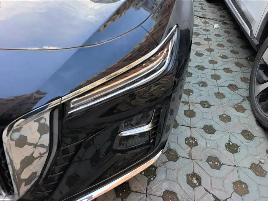 Hongqi H5 2024 2.0T Automatic Smart Connect Flag Smooth Edition фото 5