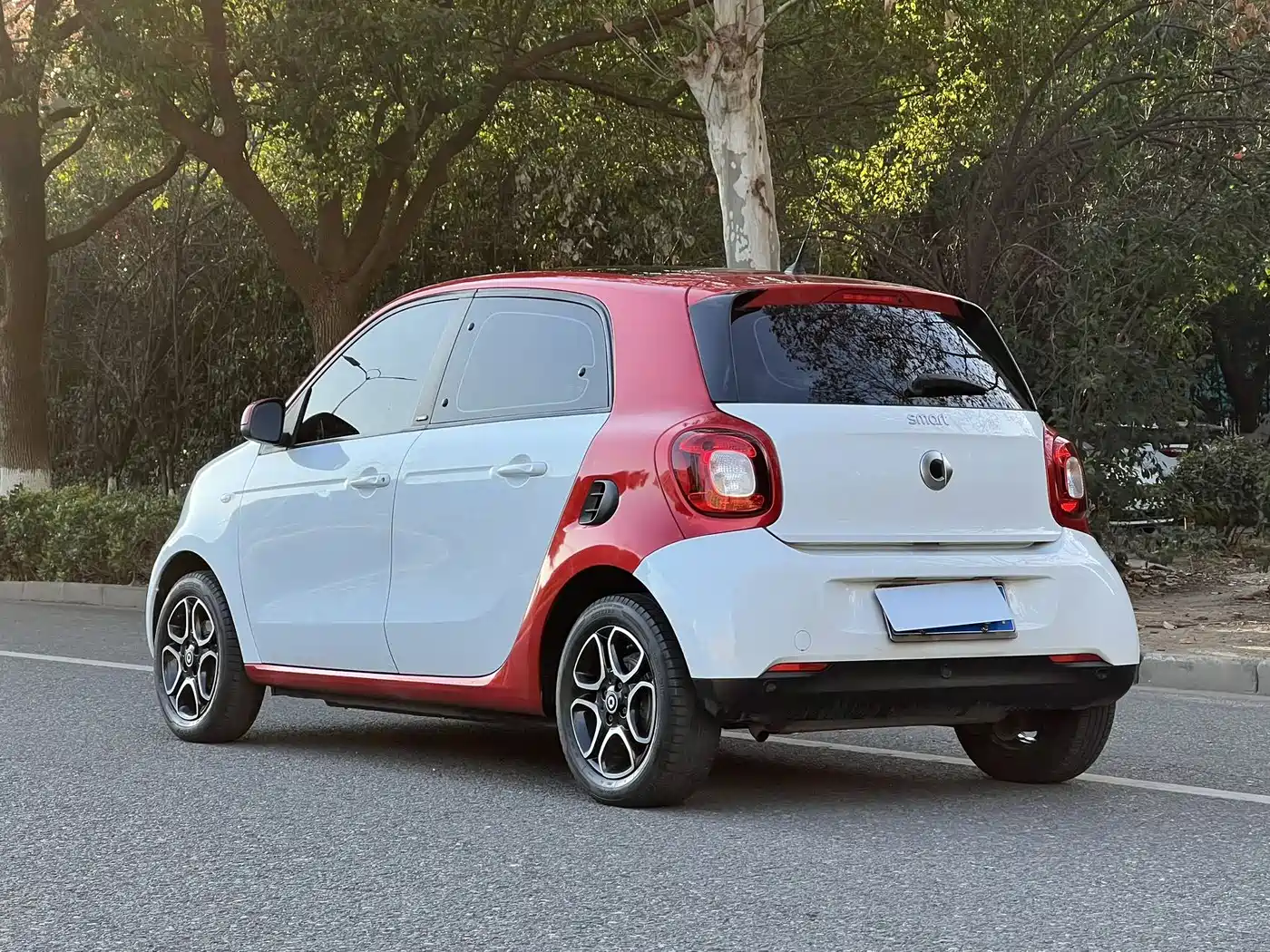 Фото 12 - smart forfour