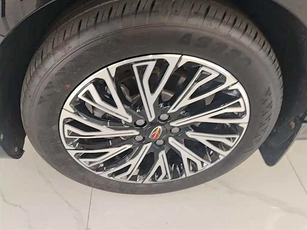 Hongqi H5 2024 2.0T Automatic Smart Connect Flag Smooth Edition фото 23