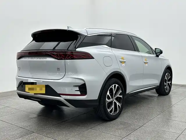 BYD Tang New Energy 2025 DM-i 115KM Prestige Type фото 6