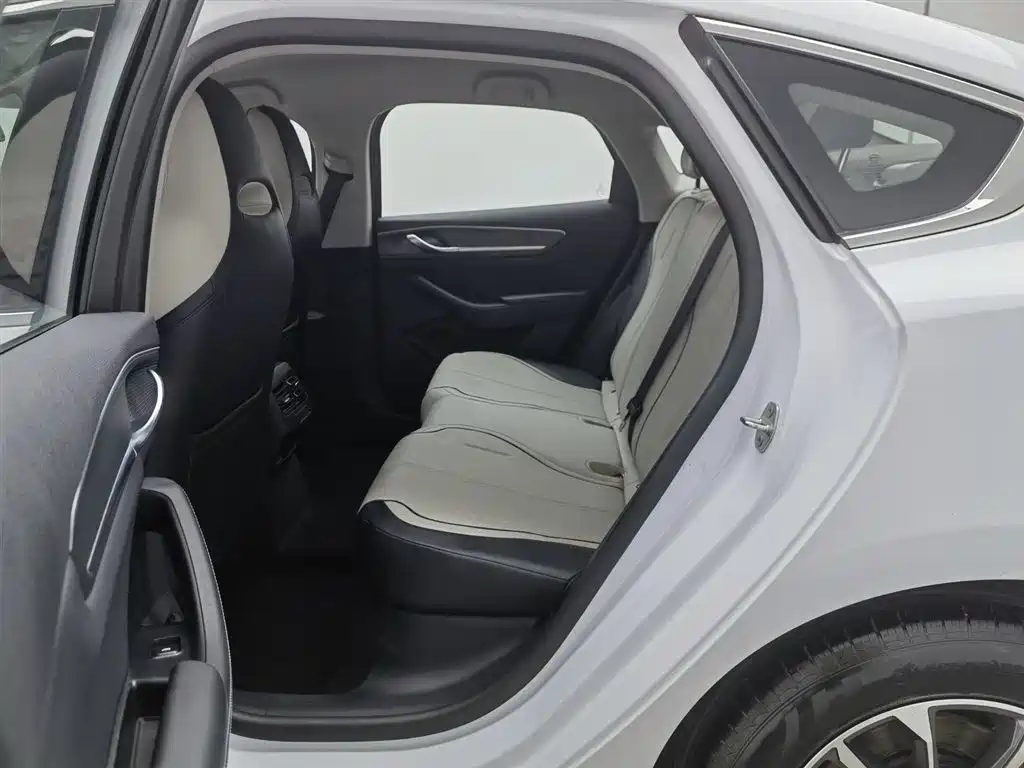 BYD Destroyer 05 2024 Glory Edition DM-i 55KM Luxury фото 15