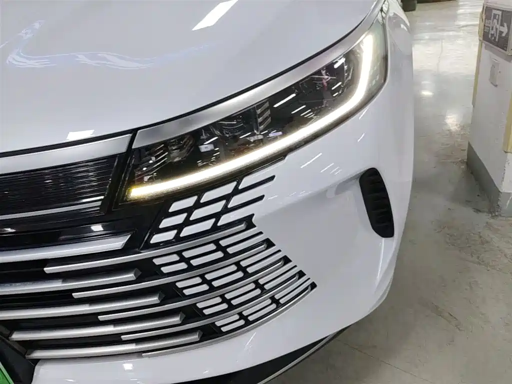 BYD Destroyer 05 2023 Model Champion Edition DM-i 120KM Luxury фото 18