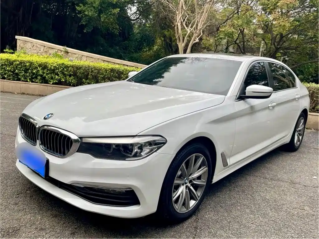BMW 5 Series 2018 528Li Launch Special Edition фото 2
