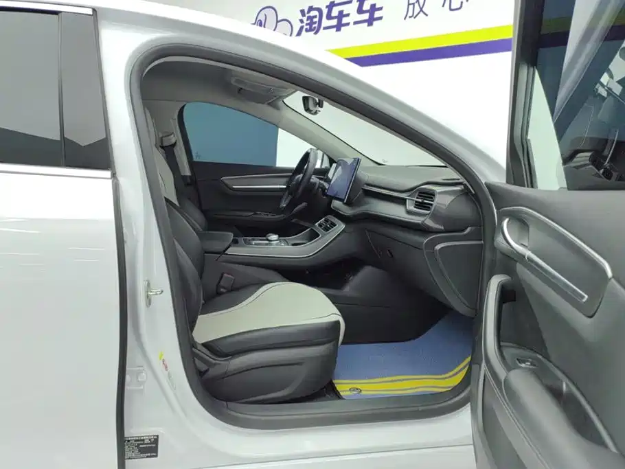 BYD Destroyer 05 2025 2024 Glory Edition DM-i 55KM Luxury