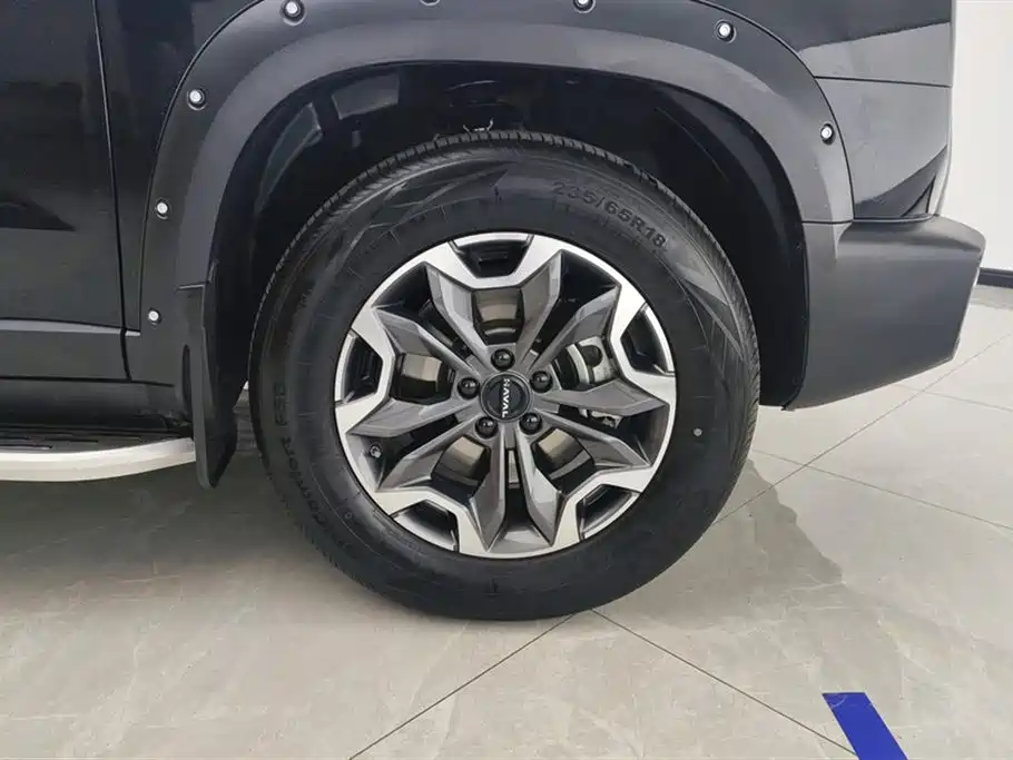 Haval Big Dog 2024 2.0T DCT Chinese Rural Dog Edition фото 6