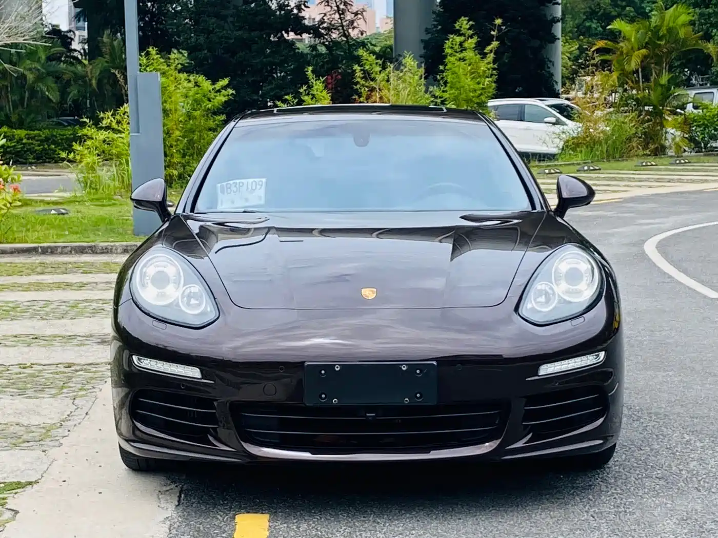 Porsche Panamera 2014 Panamera 3.0T фото 6