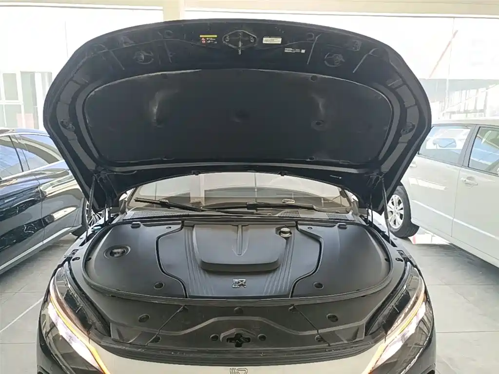 BYD Han 2024 EV Glory Edition 610KM AWD Celestial Eye Smart Driving фото 20