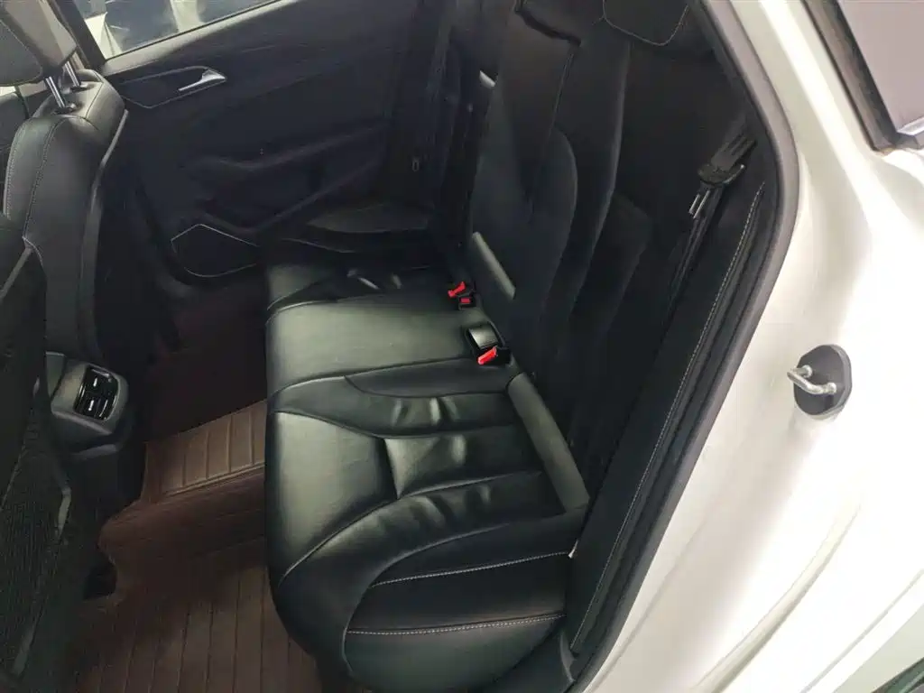 Hongqi H5 2018 30TD Smart Connect Agile Edition фото 10