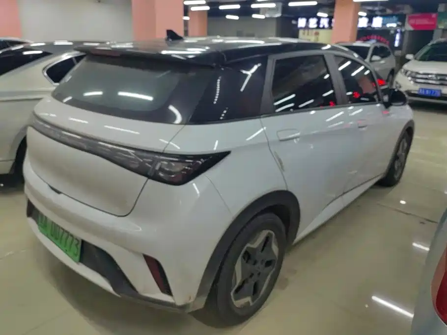 BYD Dolphin 2021 2021 Model 405km Fashion Edition