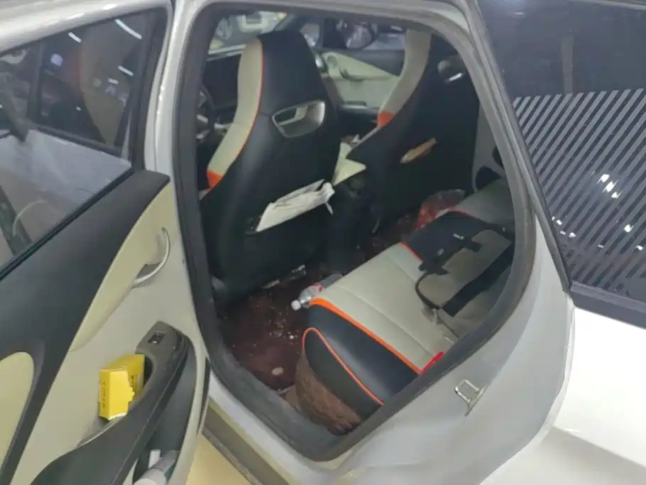 BYD Dolphin 2021 2021 Model 405km Fashion Edition