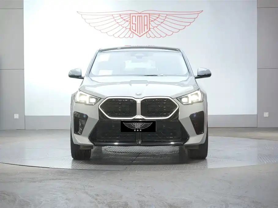 BMW X2 (Import) 2024 sDrive25i M Sport Package фото 2