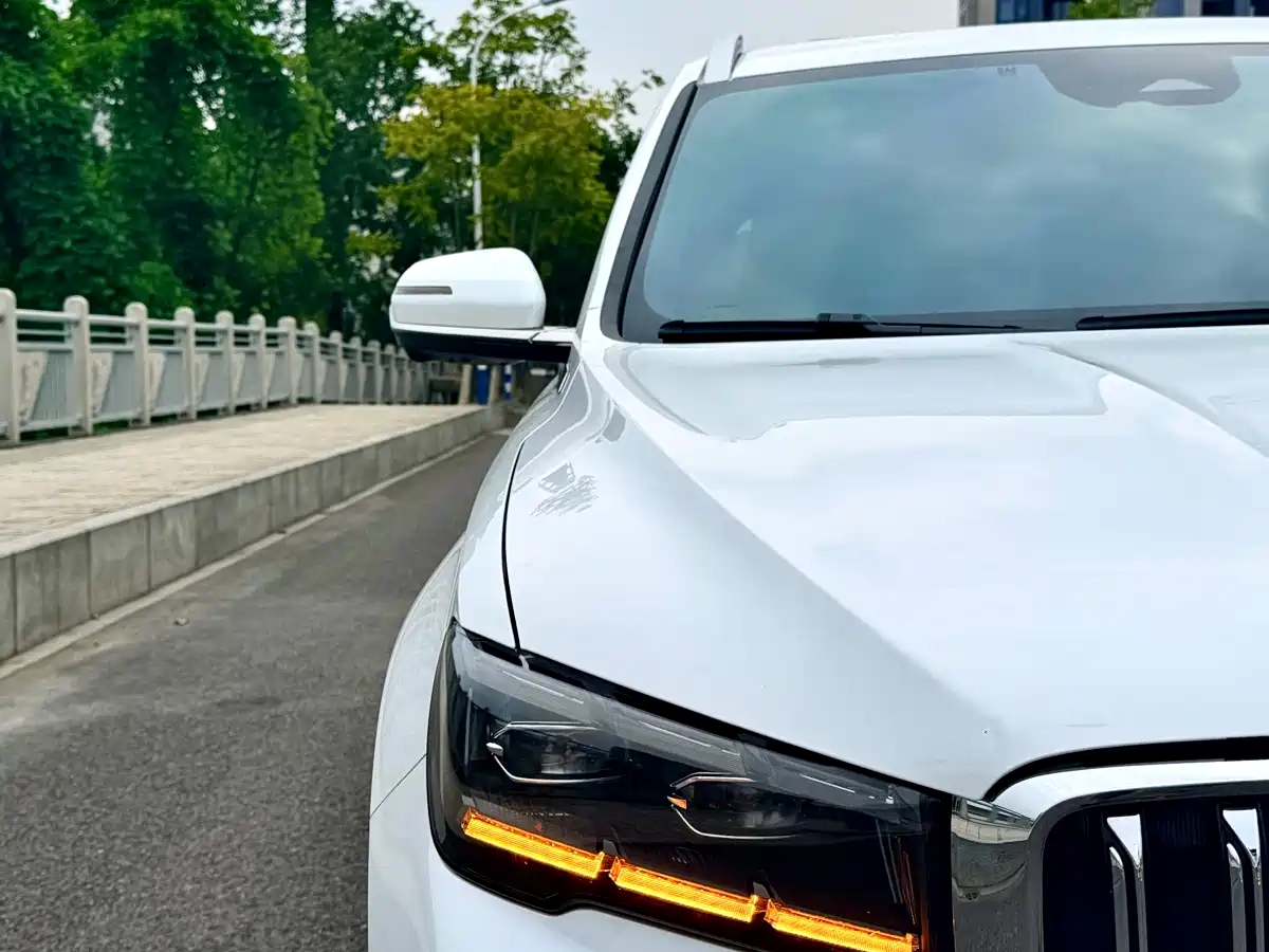 Фото 4 - Geely Monjaro