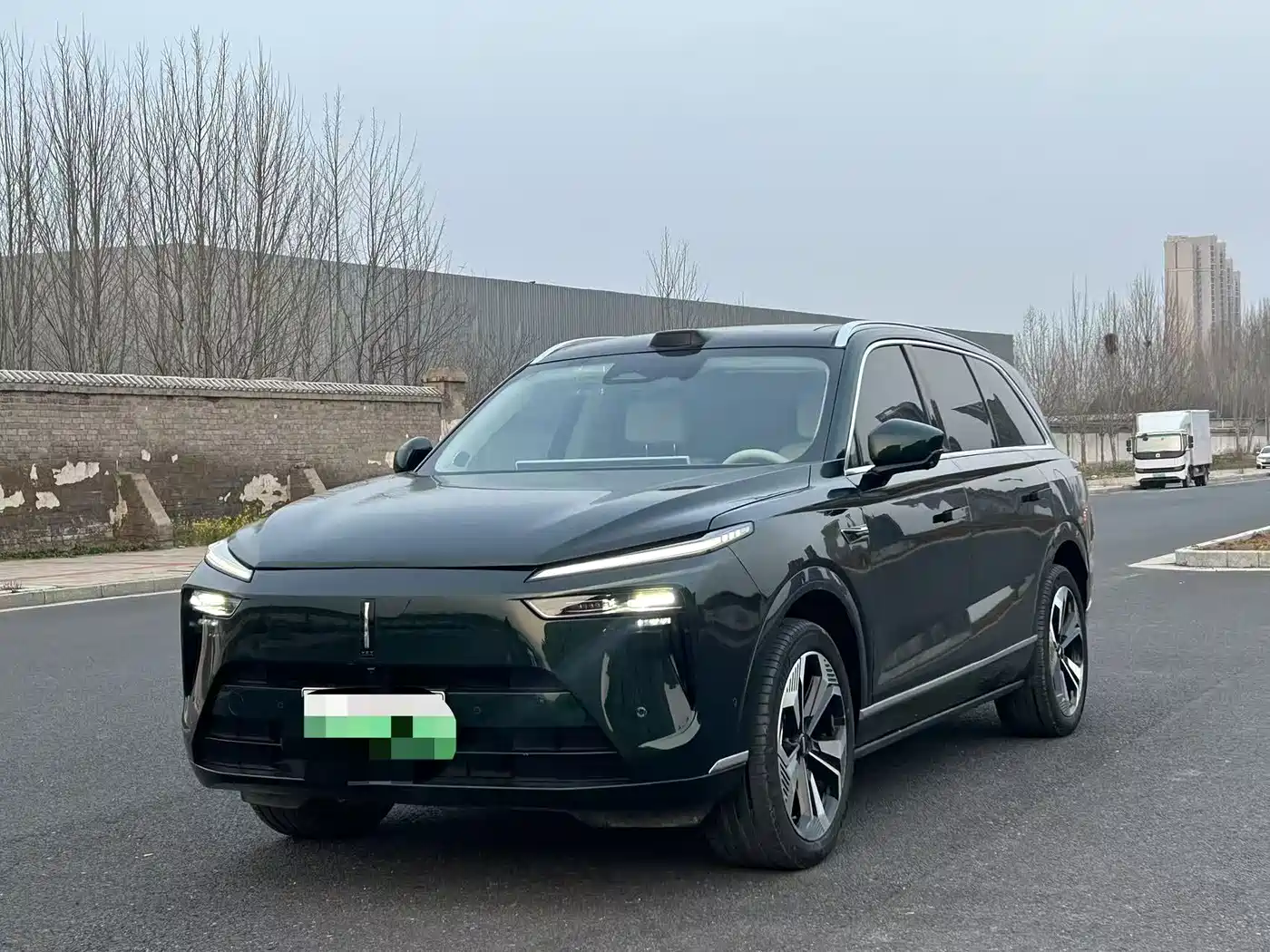 WEI PAI WEI BRAND BLUE MOUNTAIN