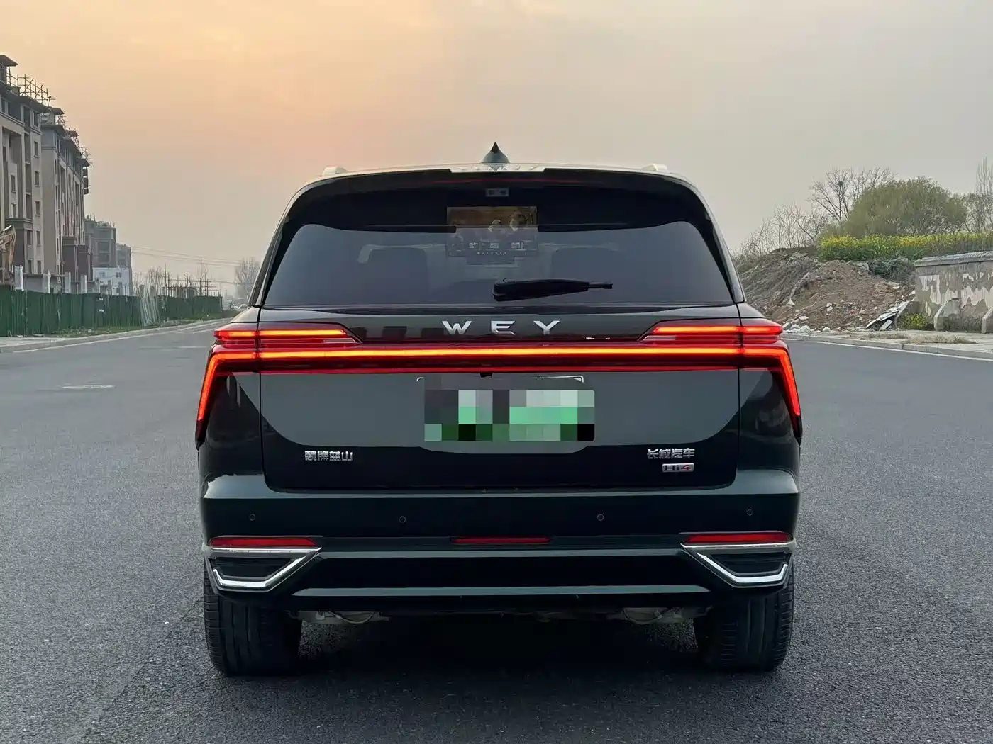 WEI PAI WEI BRAND BLUE MOUNTAIN