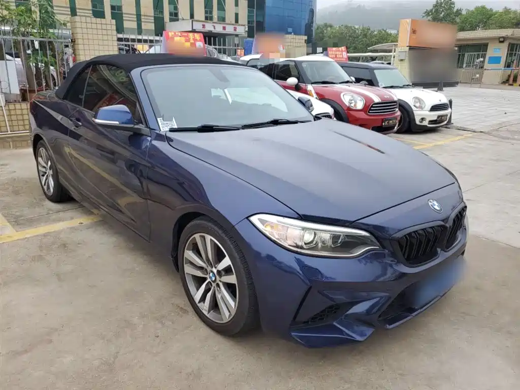 BMW 2 Series (Import) 2017 220i Convertible Coupe Leading фото 22