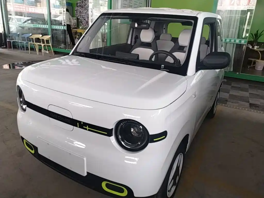 Geely Galaxy Panda 2026 2025 Panda mini 210km Vitality Bear