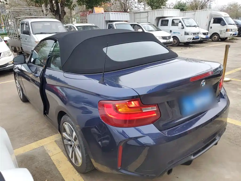 BMW 2 Series (Import) 2017 220i Convertible Coupe Leading фото 23