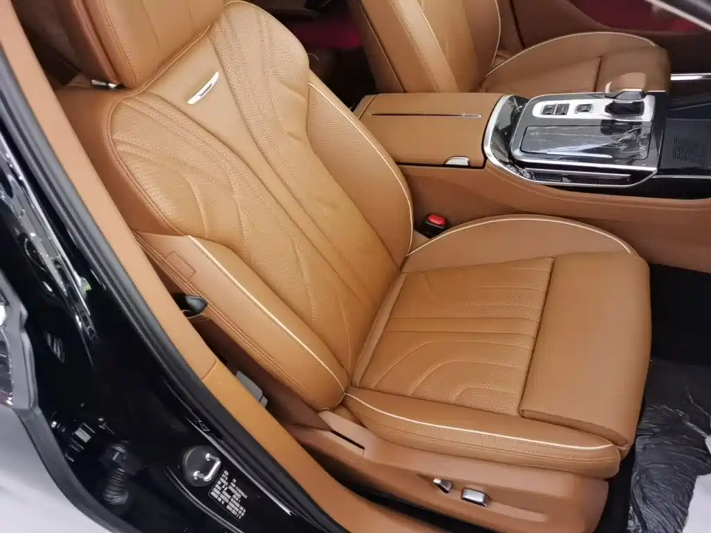 Photo 25 - Hongqi H9