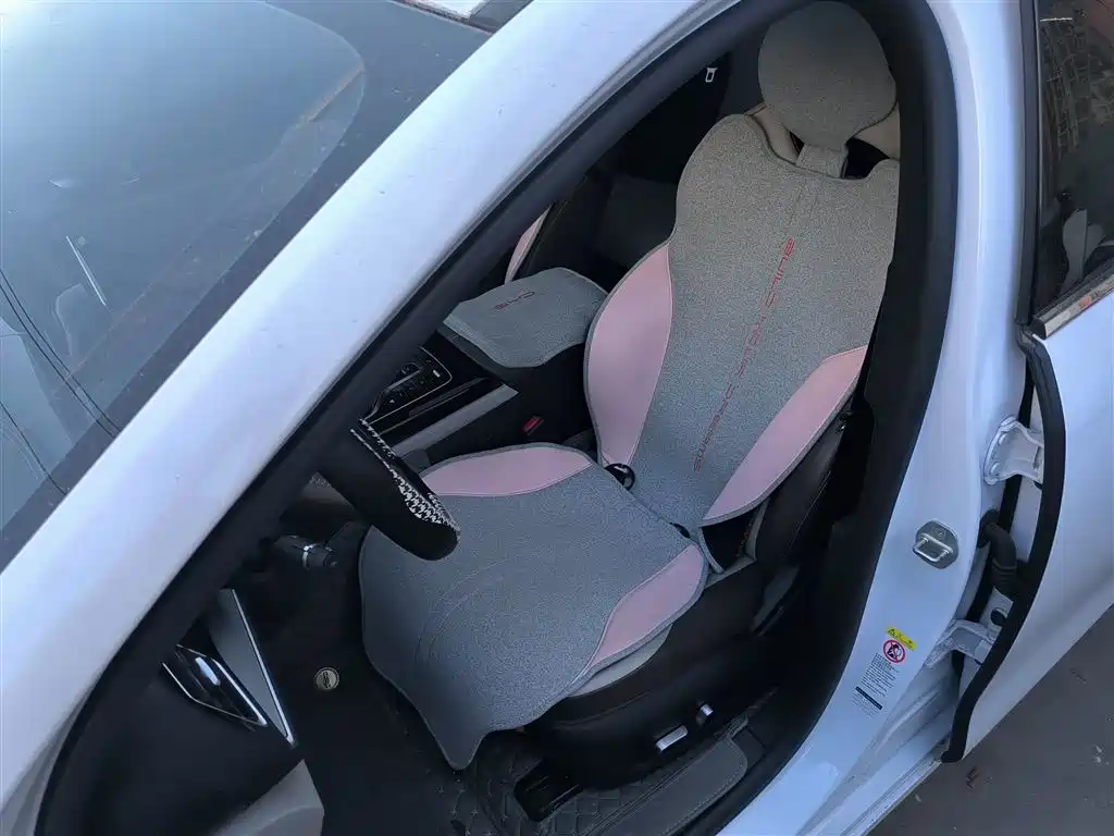 BYD Qin PLUS 2023 Champion Edition DM-i 55KM Surpassing фото 15