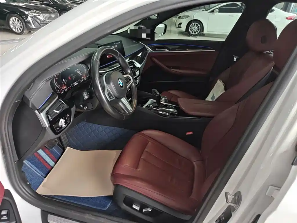 BMW 5 Series 2020 530Li Leading M Sport Package фото 15