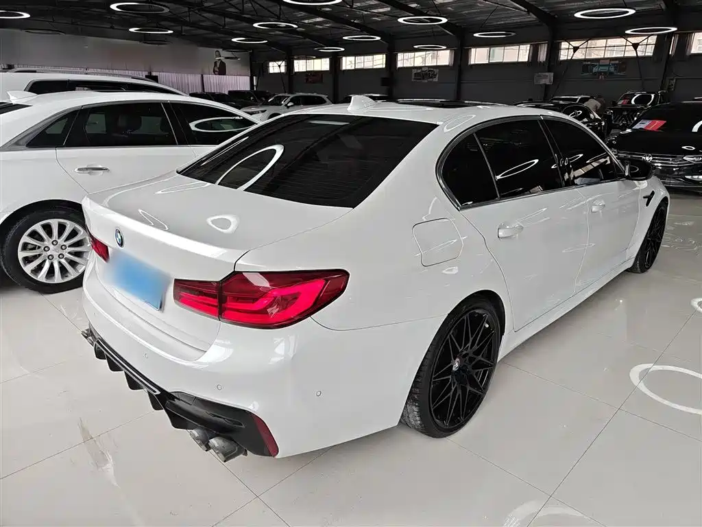 BMW 5 Series 2020 530Li Leading M Sport Package фото 7