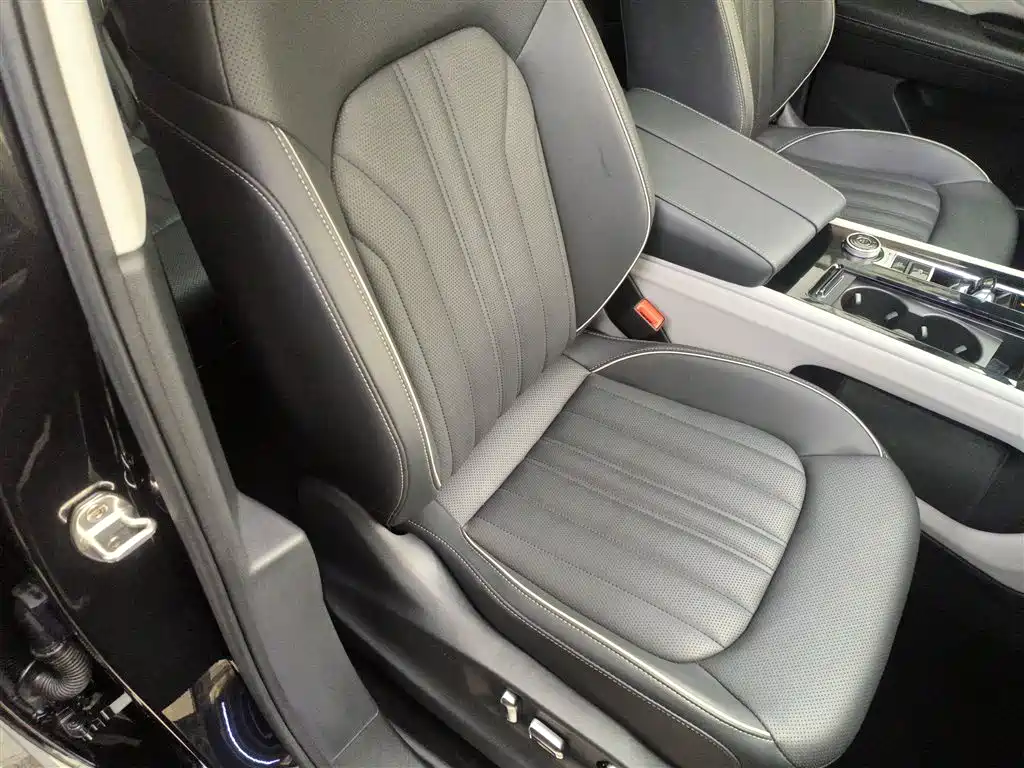 Volkswagen Teramont 2023 380TSI AWD Premium Luxury Edition фото 4
