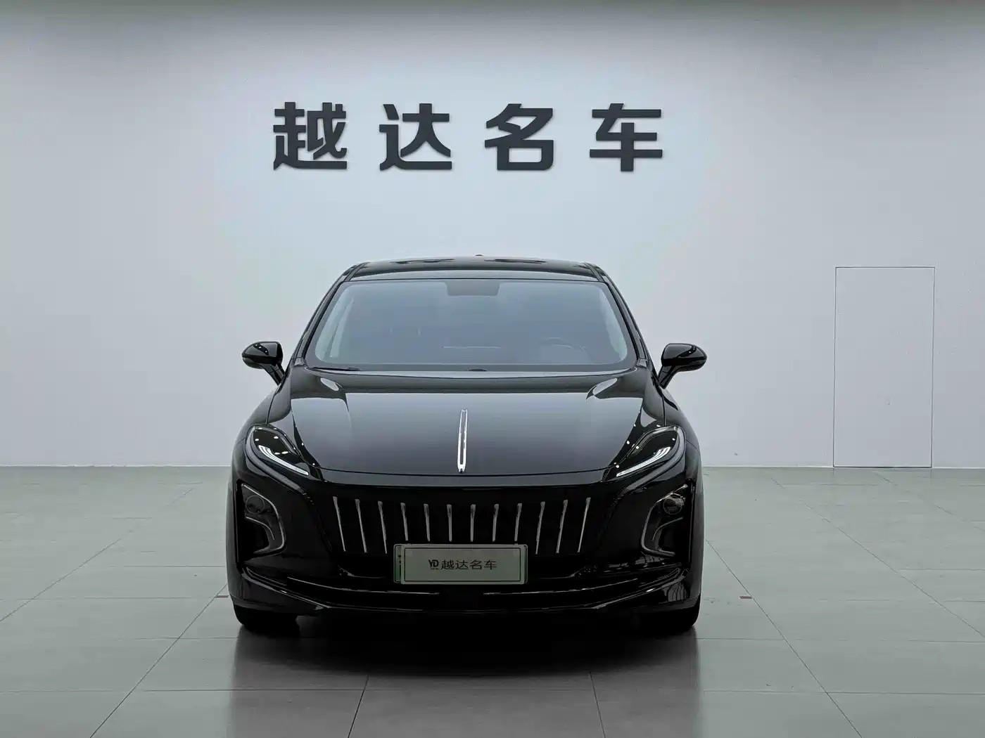 Hongqi E-QM5 2023 Facelift Basic Travel Edition фото 2