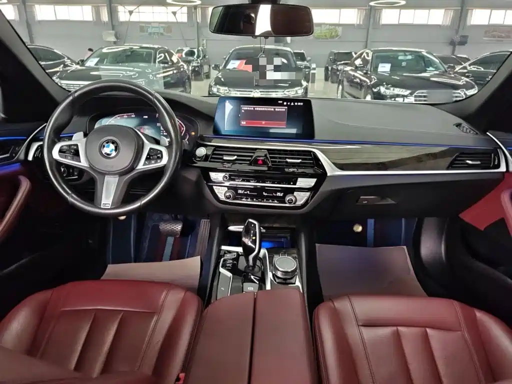 BMW 5 Series 2020 530Li Leading M Sport Package фото 10