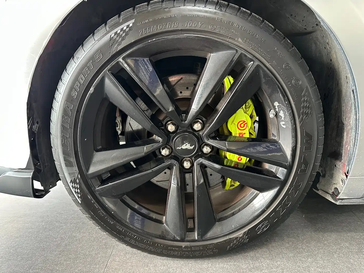 Ford Mustang 2015 2.3T 50th Anniversary Edition фото 4