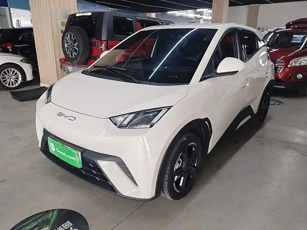 BYD Seagull 2023 Freedom Edition