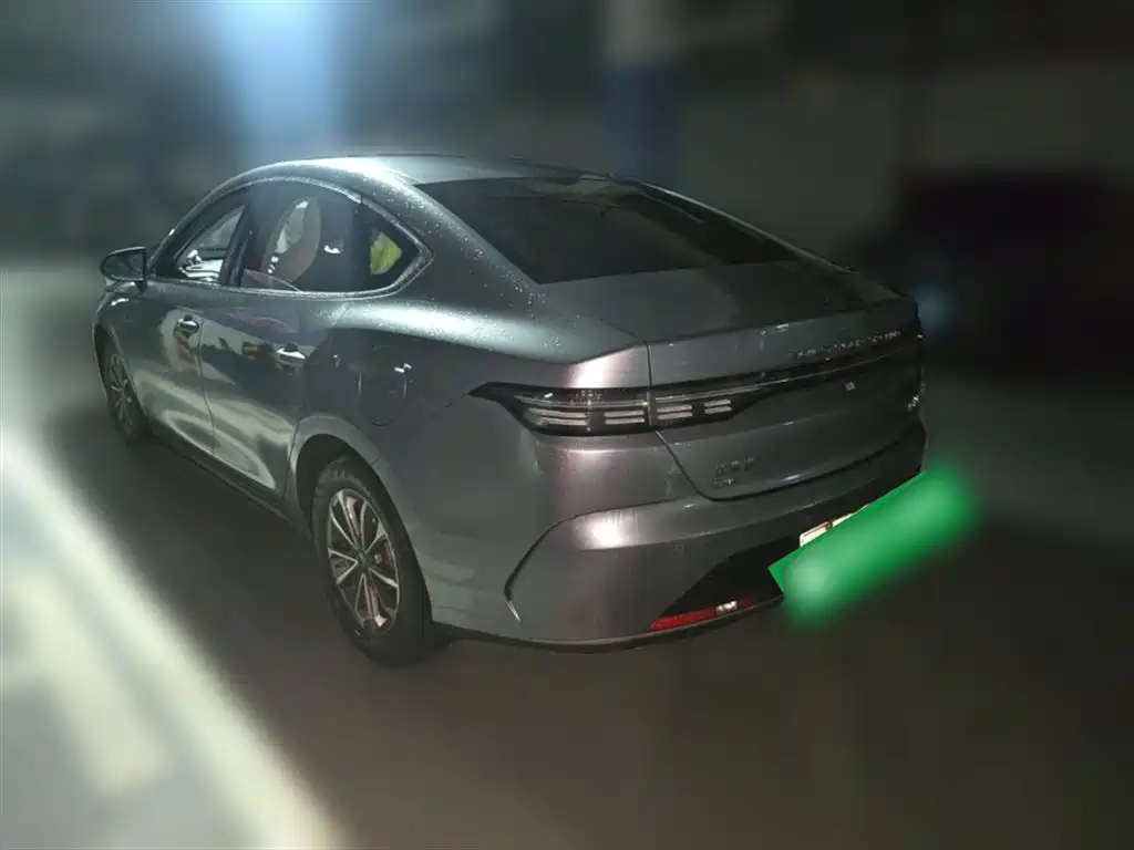 BYD Destroyer 05 2024 Glory Edition DM-i 55KM Luxury фото 25