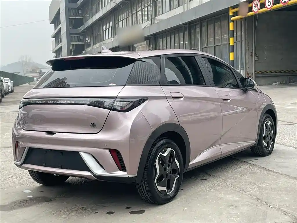 BYD Dolphin 2021 Model 405km Fashion Edition фото 16