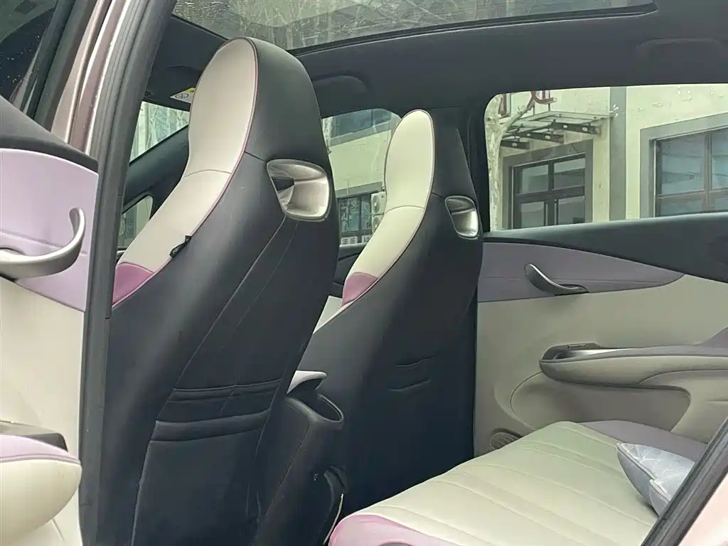 BYD Dolphin 2021 Model 405km Fashion Edition фото 25