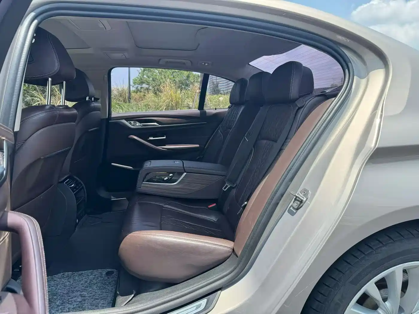 BMW 5 Series New Energy 2020 530Le Luxury Package фото 9