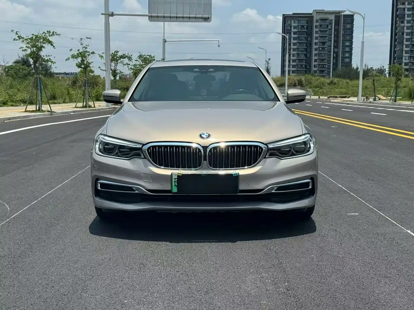 BMW 5 Series New Energy 2020 530Le Luxury Package фото 2