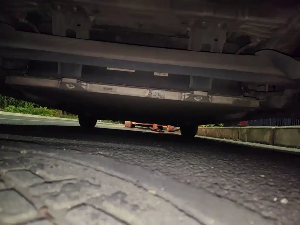 Ora Black Cat 2019 2019 Model 351km Smart Fun Edition