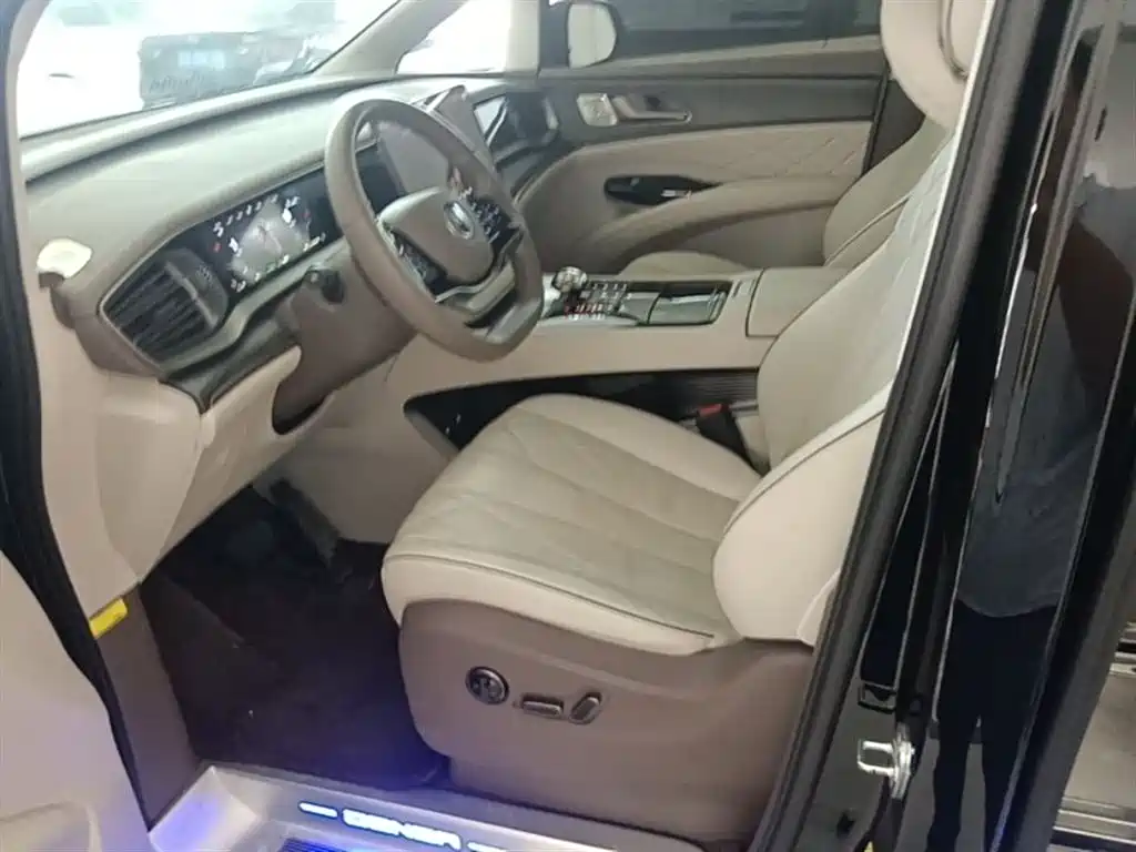 Denza D9 2022 DM-i 970 All-Wheel Drive Honor Edition фото 15