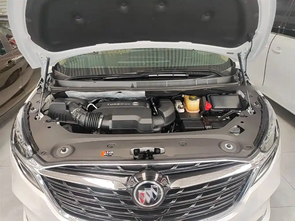 Buick GL8 2021 ES Landlord 653T Premium фото 20