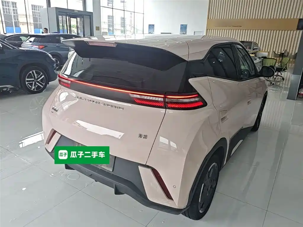 BYD Seagull 2024 Glory Edition 305km Freedom Edition фото 7