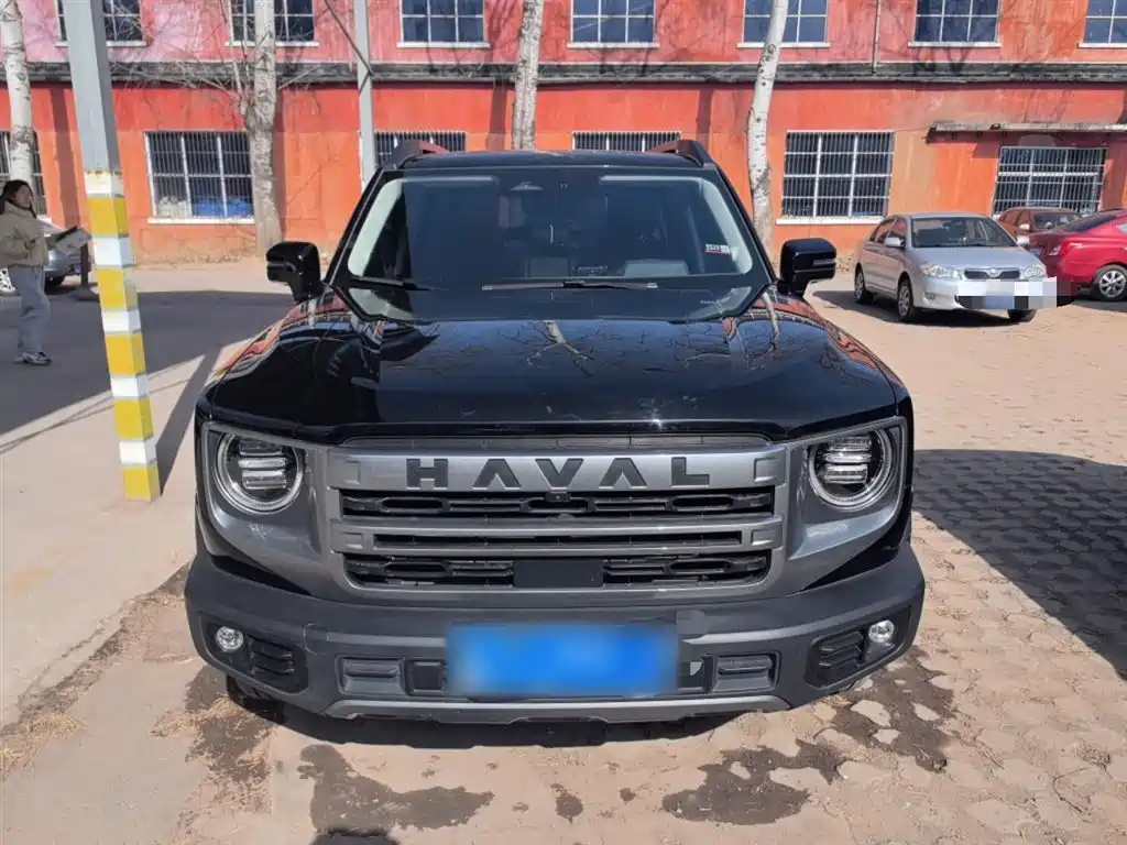 Haval Big Dog 2024 1.5T DCT Border Collie Edition фото 3