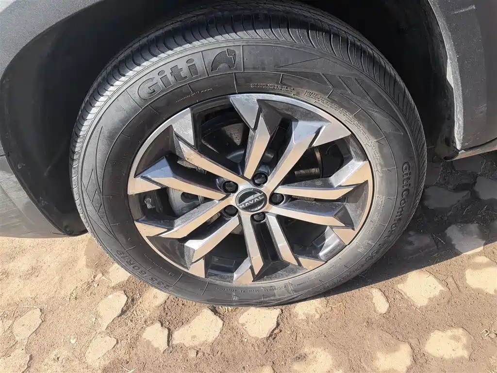 Haval Big Dog 2024 1.5T DCT Border Collie Edition фото 23