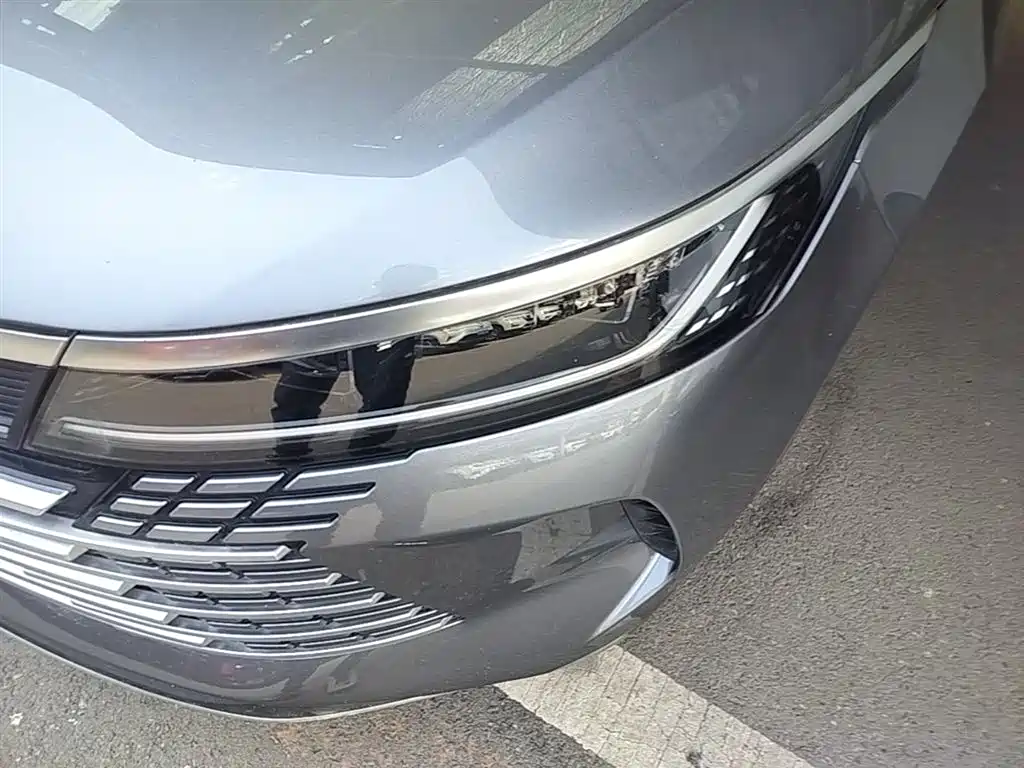 BYD Destroyer 05 2024 Glory Edition DM-i 55KM Luxury фото 24
