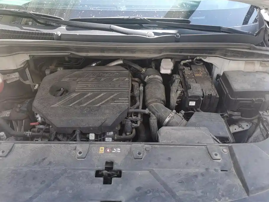 Kia Carnival 2021 2.0T Flagship Edition фото 10